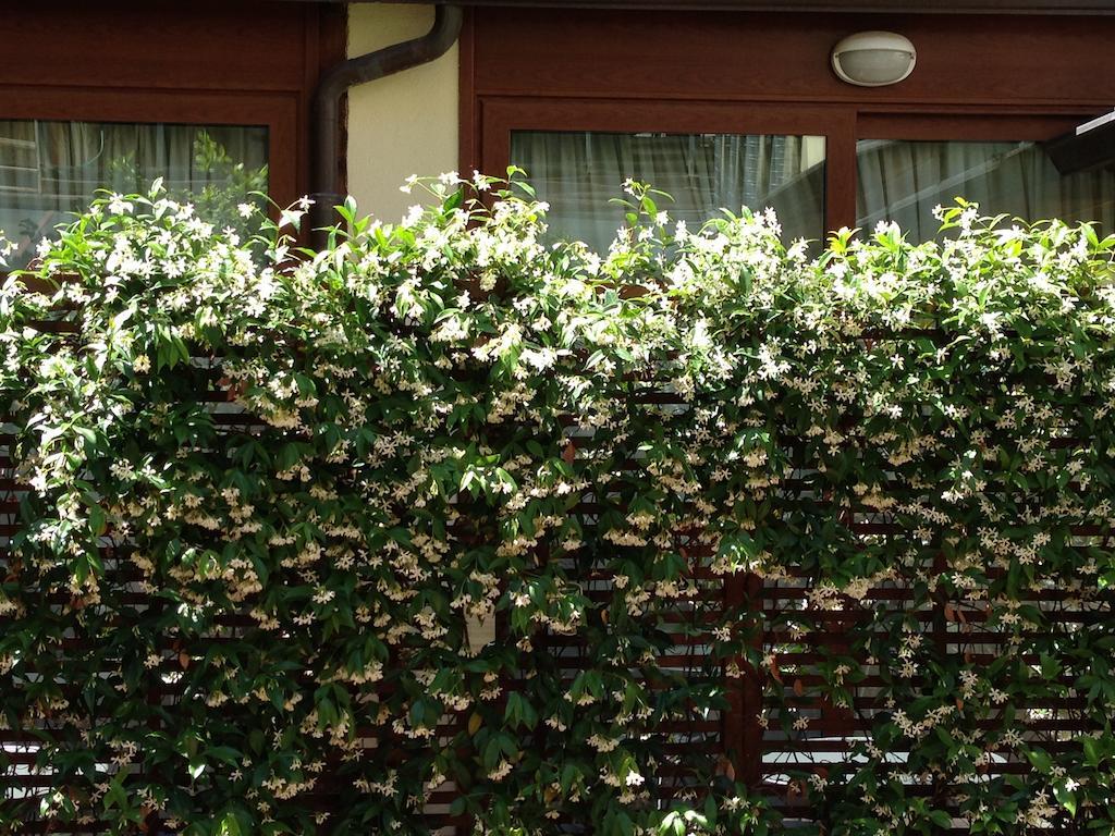Select Garden Hotel Rom