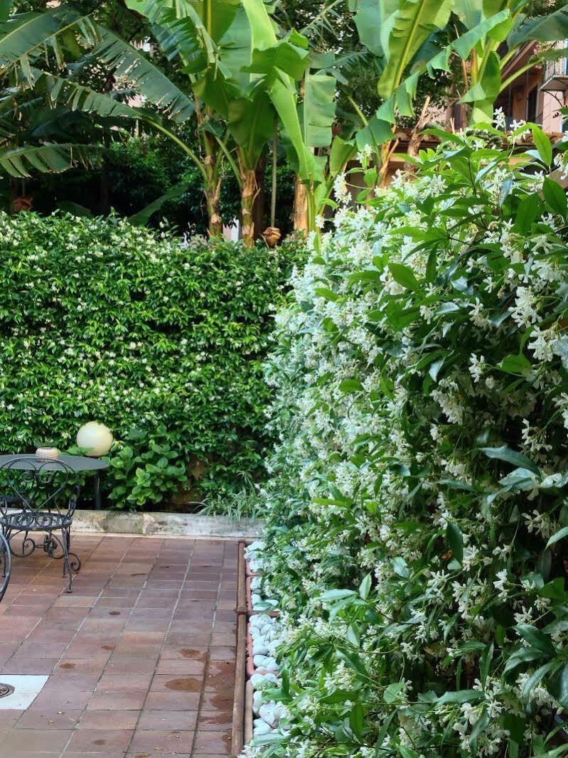 Select Garden 3* Rom